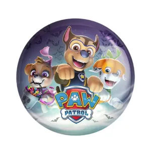مگنت سگ های نگهبان Paw Patrol