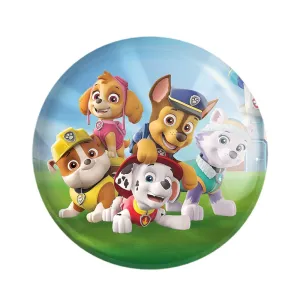 مگنت سگ های نگهبان Paw Patrol