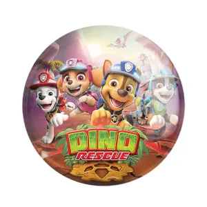 مگنت سگ های نگهبان Paw Patrol