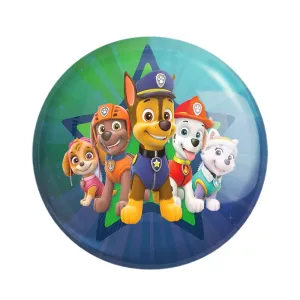 مگنت سگ های نگهبان Paw Patrol
