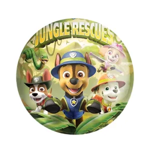 مگنت سگ های نگهبان Paw Patrol
