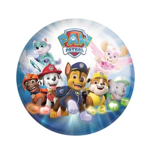 مگنت سگ های نگهبان Paw Patrol
