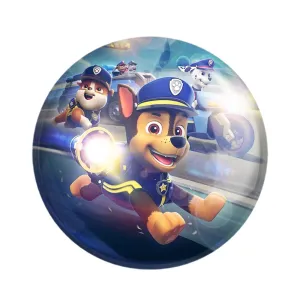 مگنت سگ های نگهبان Paw Patrol