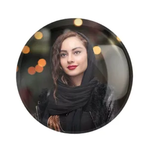 مگنت ترلان پروانه