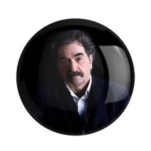مگنت شهرام ناظری
