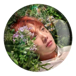 پیکسل بزرگ جی هوپ J Hope گروه بی تی اس BTS