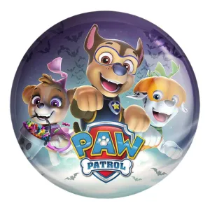 پیکسل بزرگ سگ های نگهبان Paw Patrol