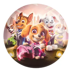 پیکسل بزرگ سگ های نگهبان Paw Patrol