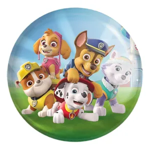 پیکسل بزرگ سگ های نگهبان Paw Patrol