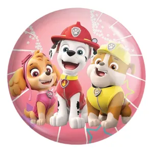 پیکسل بزرگ سگ های نگهبان Paw Patrol