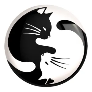 پیکسل بزرگ یین و یانگ