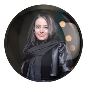 پیکسل بزرگ الناز حبیبی