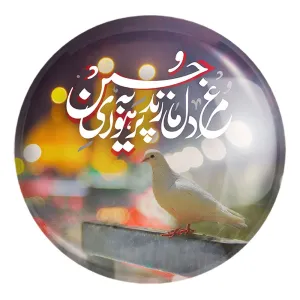 پیکسل بزرگ محرم مرغ دل ما زند پر به هوای حسین