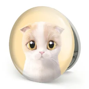 آینه تاشو گربه