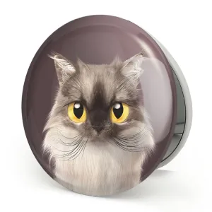 آینه تاشو گربه