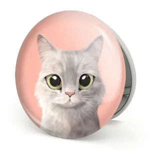 آینه تاشو گربه