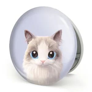 آینه تاشو گربه
