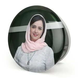 آینه تاشو ترانه علیدوستی
