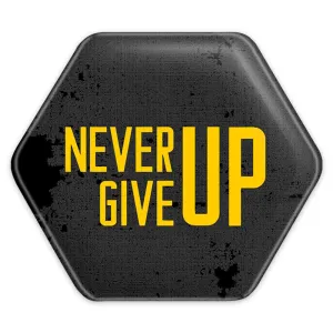 پیکسل شش ضلعی Never Give Up