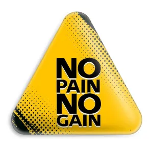 پیکسل مثلثی No Pain No Gane