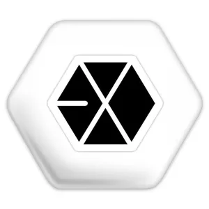 پیکسل شش ضلعی گروه اکسو EXO