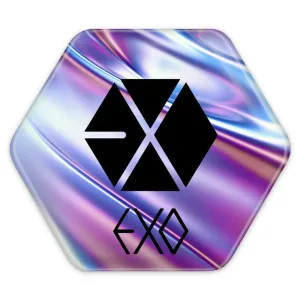 پیکسل شش ضلعی گروه اکسو EXO