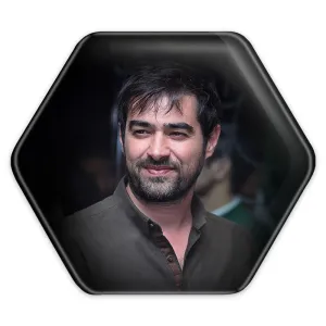 پیکسل شش ضلعی شهاب حسینی