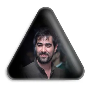 پیکسل مثلثی شهاب حسینی