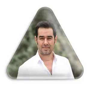 پیکسل مثلثی شهاب حسینی
