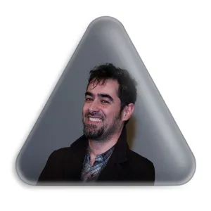 پیکسل مثلثی شهاب حسینی