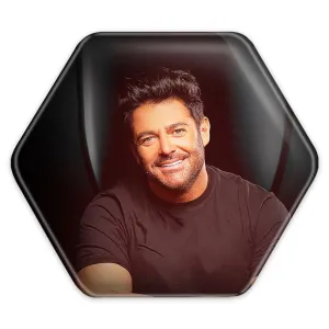 پیکسل شش ضلعی محمدرضا گلزار