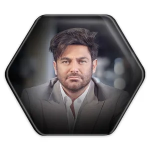 پیکسل شش ضلعی محمدرضا گلزار