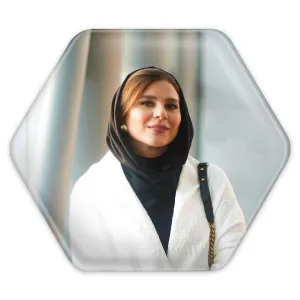 پیکسل شش ضلعی سحر دولتشاهی