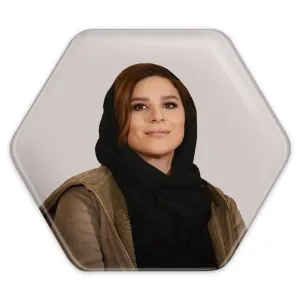 پیکسل شش ضلعی سحر دولتشاهی