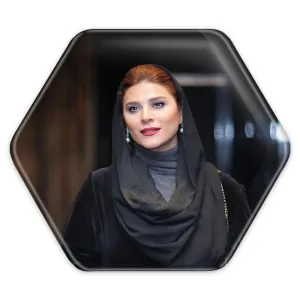 پیکسل شش ضلعی سحر دولتشاهی
