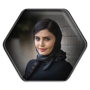 پیکسل شش ضلعی الناز شاکردوست