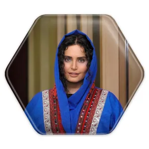پیکسل شش ضلعی الناز شاکردوست