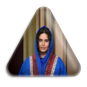 پیکسل مثلثی الناز شاکردوست