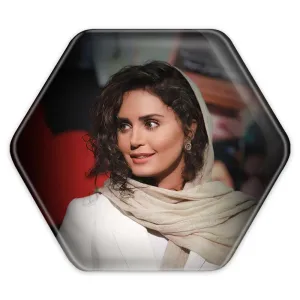 پیکسل شش ضلعی الناز شاکردوست