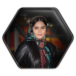 پیکسل شش ضلعی الناز شاکردوست