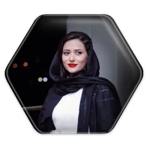 پیکسل شش ضلعی پریناز ایزدیار