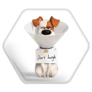 پیکسل شش ضلعی زندگی پنهان حیوانات خانگی The Secret Life of Pets