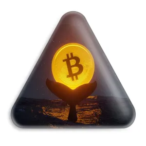 پیکسل مثلثی ارز دیجیتال بیت کوین