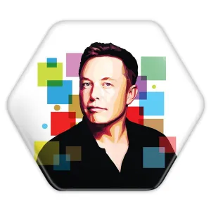 پیکسل شش ضلعی ایلان ماسک Elon Musk