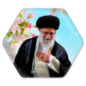 پیکسل شش ضلعی تصویر رهبر