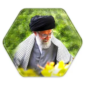 پیکسل شش ضلعی تصویر رهبر
