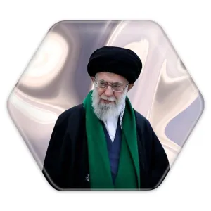 پیکسل شش ضلعی تصویر رهبر