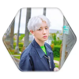 پیکسل شش ضلعی پارک چانیول گروه اکسو EXO