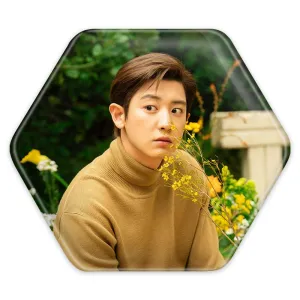 پیکسل شش ضلعی پارک چانیول گروه اکسو EXO