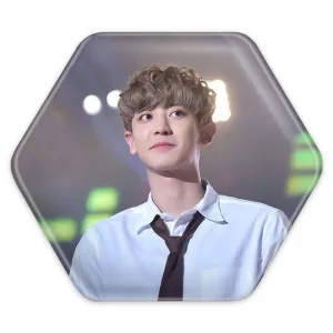 پیکسل شش ضلعی پارک چانیول گروه اکسو EXO